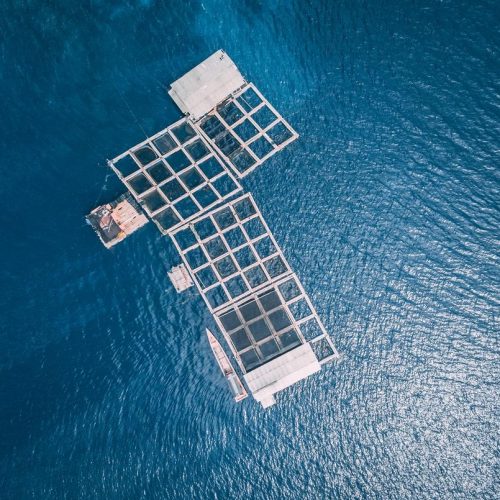 photo-1519122488646-b6c04859b534