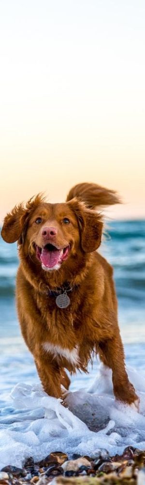 photo-1530281700549-e82e7bf110d6