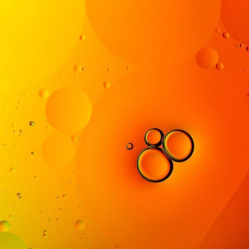 photo-1557800634-95f2a96fbd64